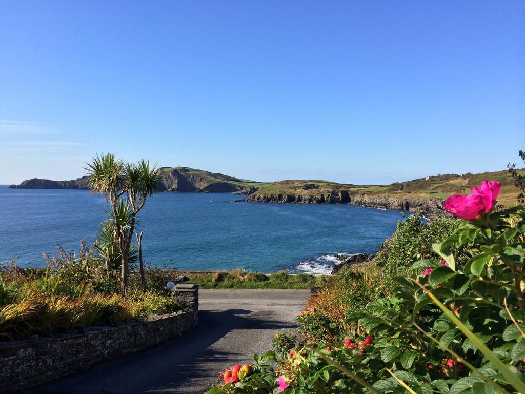 Sandycove House Bed & Breakfast